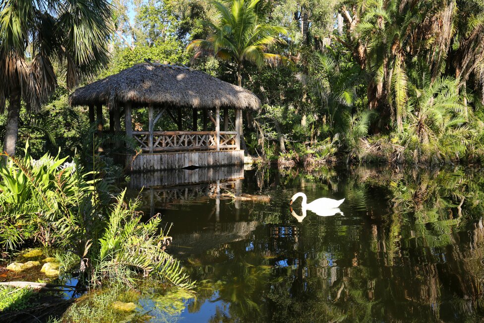 Bonnet House Museum & Gardens